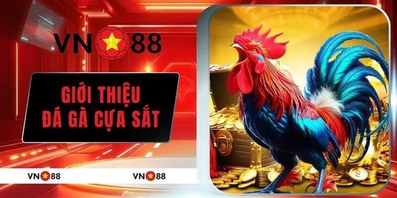 Đá gà cựa sắt